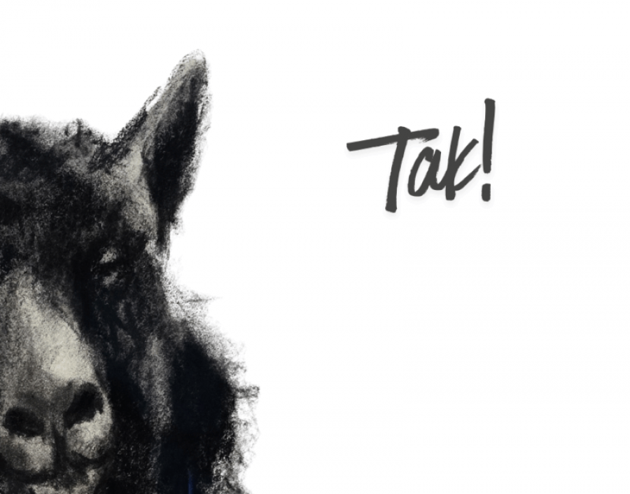 Vadehavets censurerede efterårsudstilling 2025